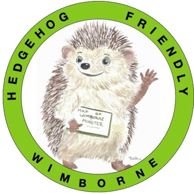 Hedgehog Friendly Wimborne logo