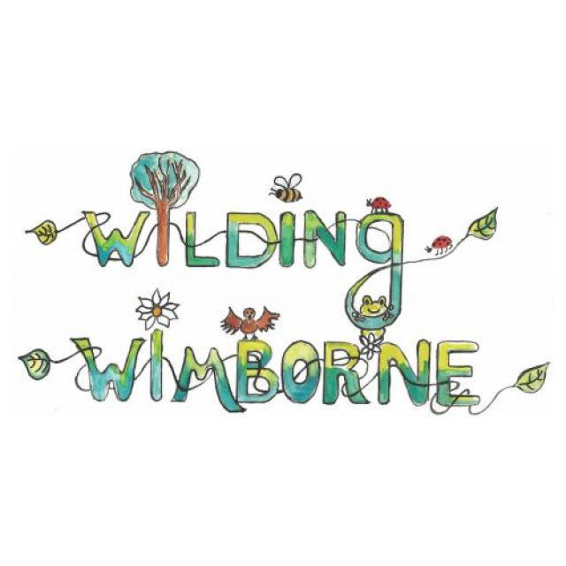 Wilding Wimborne logo