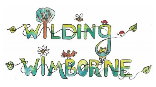 Wilding Wimborne logo