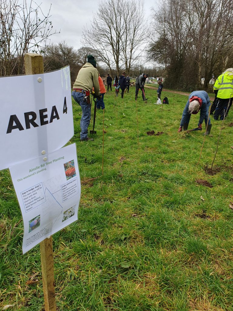 Picture of volunteers planting at Ainsley Road
