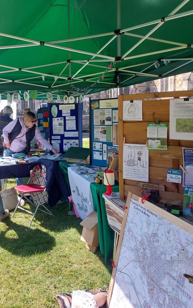 Picture of stalls at Spring Green