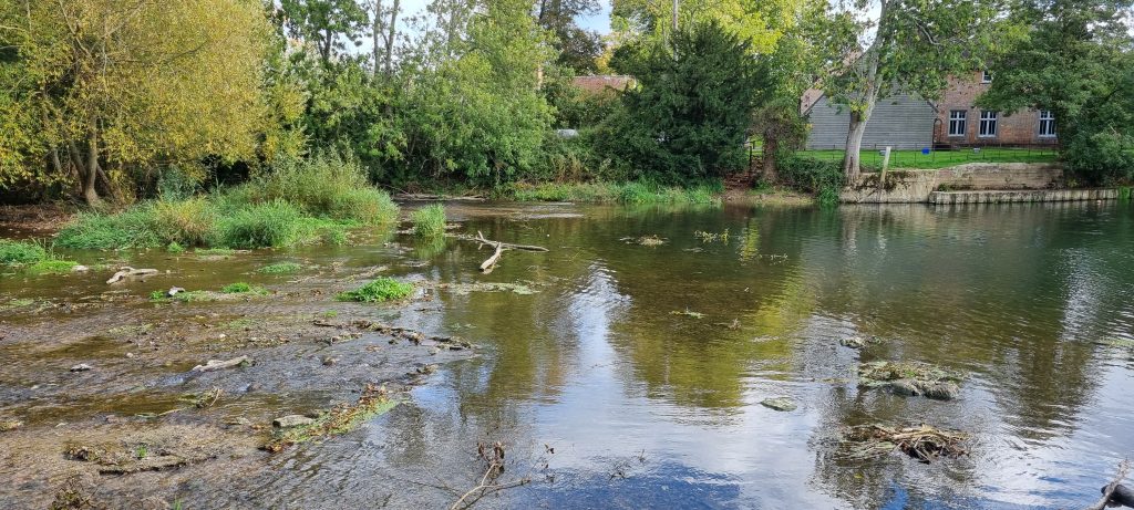 Image of very low water on River Stour
