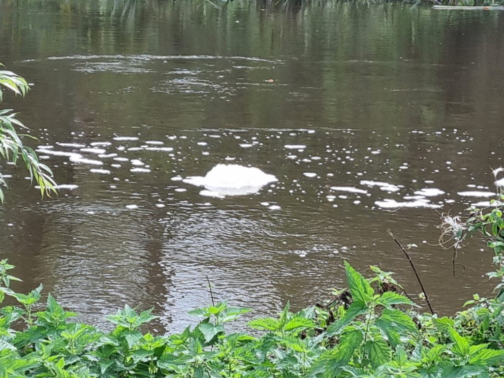 Image of foam on River Stour