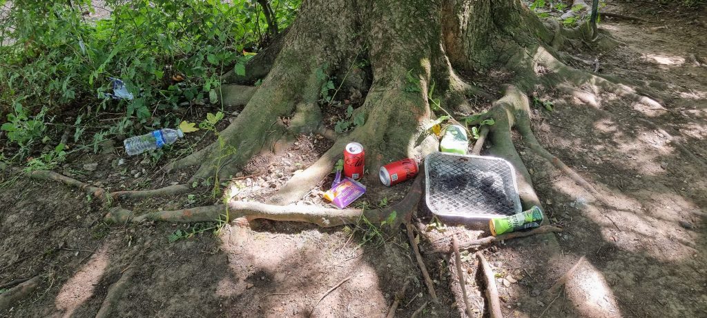 Image of litter on River Stour